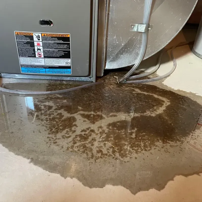 Appliance Leak Cleanup in Phillips County, CO